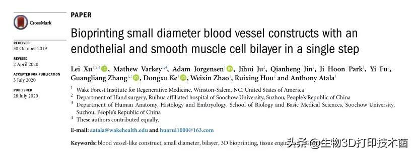 探索前沿科技，最新3D打印血管消息揭秘