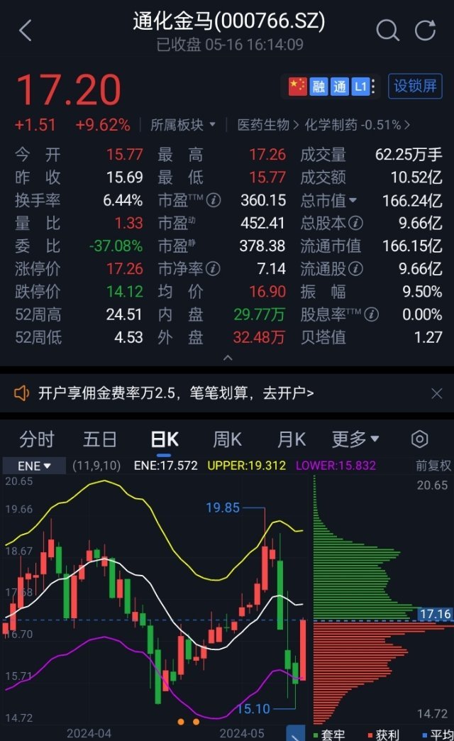 通化金马最新动态深度解析与未来展望（XXXX年）