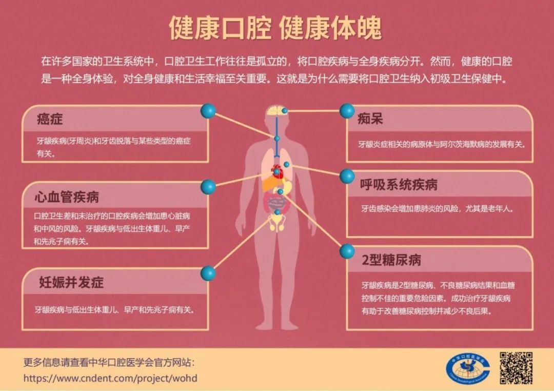 2024澳门正版资料大全,权威推进方法_HarmonyOS41.320