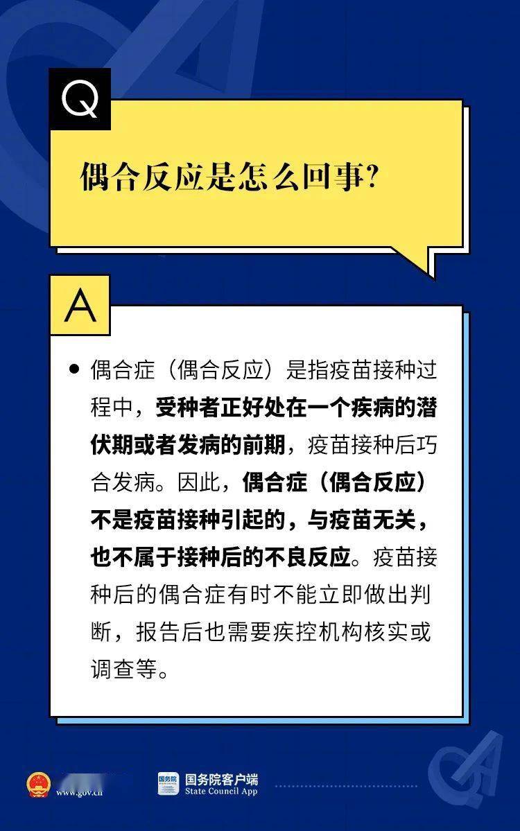 2023管家婆资料正版大全澳门,权威分析说明_3D82.546