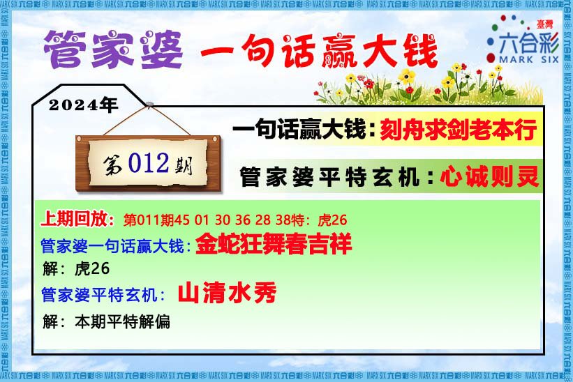 管家婆2024精准资料成语平特,实地策略验证计划_HD76.498