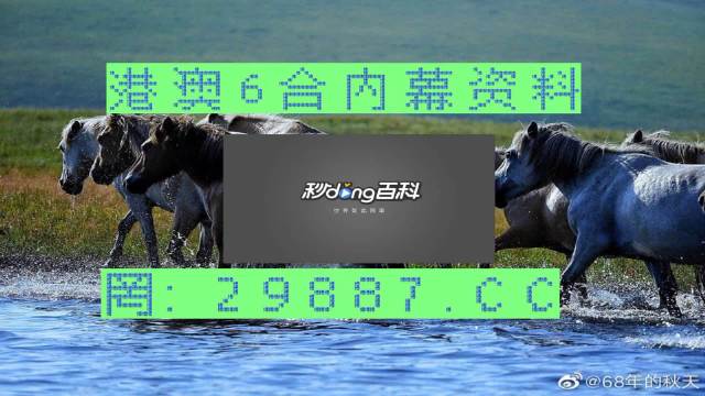 2024澳门买马最准网站,理性解答解释落实_挑战版61.670