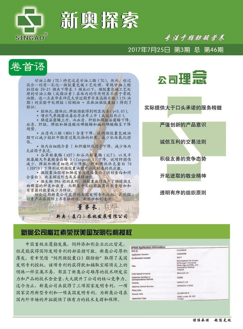 2004新奥精准资料免费提供,高效性实施计划解析_5DM29.131