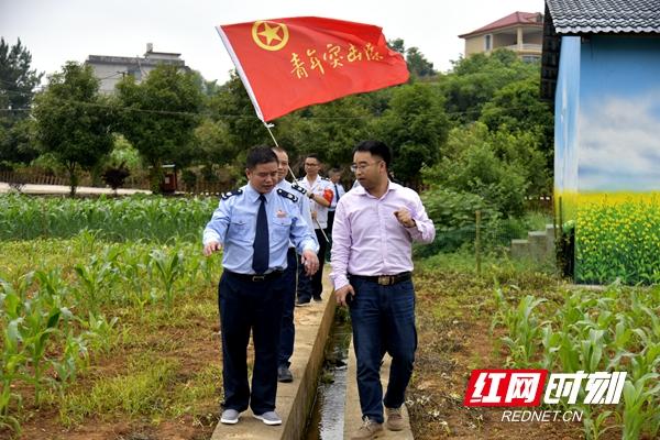 邵阳市人才网最新招聘动态全面解析