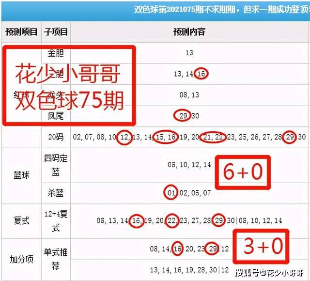 白小姐今晚特马期期准六,灵活解析执行_苹果款81.393