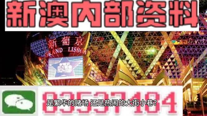 新澳门精准资料大全管家婆料,现状说明解析_粉丝版74.689