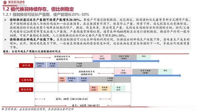 一肖一码中持一肖,结构化推进评估_KP80.107