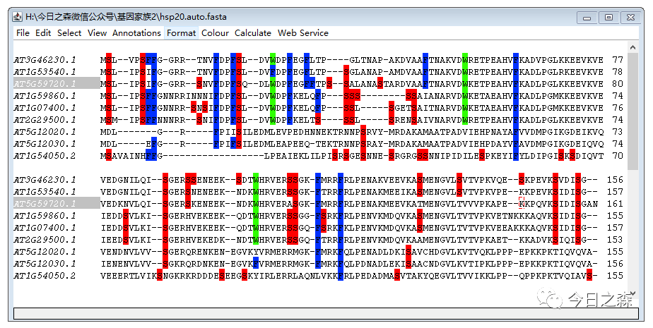 澳门六合,灵活性策略设计_精装款74.878