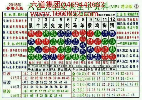 2024十二生肖49码表,确保成语解释落实的问题_UHD款91.582