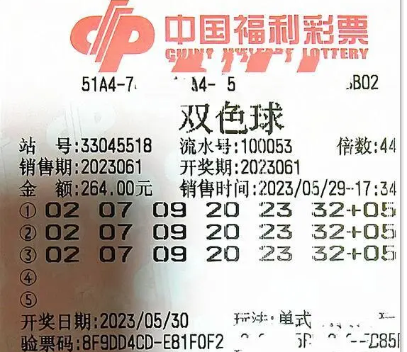 新澳门今晚开奖结果查询,实证研究解释定义_户外版85.568