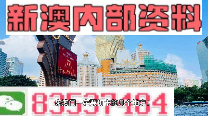 新澳门最精准正最精准龙门,实地数据验证策略_经典版172.312