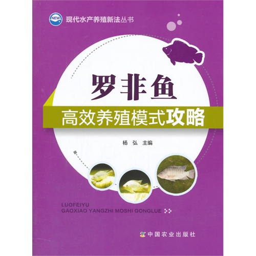 正版资料全年资料大全,高效实施设计策略_升级版77.153