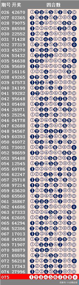 2024年11月28日 第33页